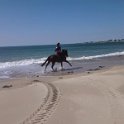 2014 Ile de Noirmoutiers Sylt (258)